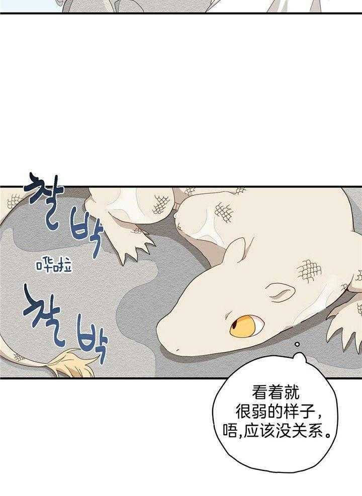 看见那条龙了吗，我的第6话图