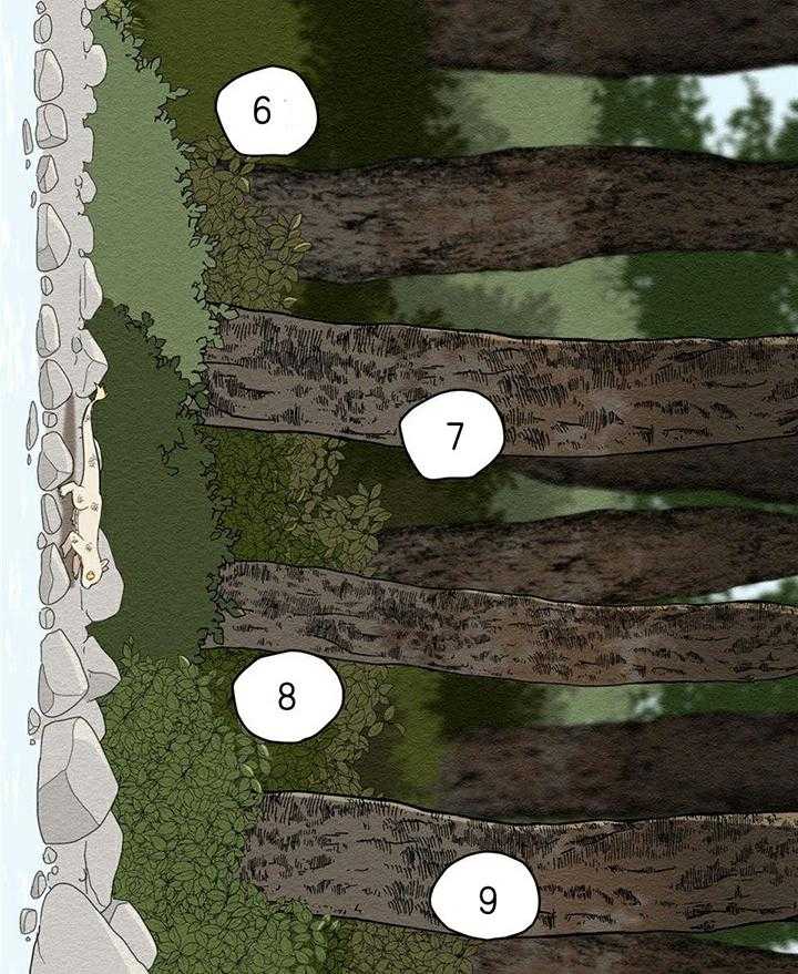 看见那条龙了吗，我的第7话图