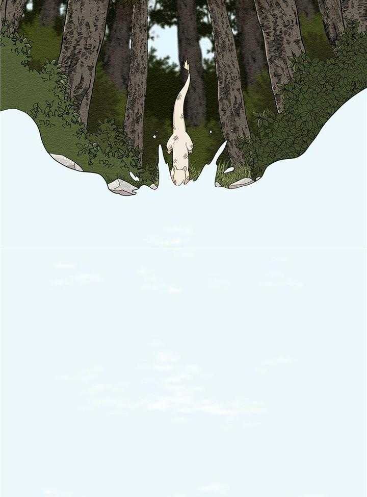 看见那条龙了吗，我的第7话图