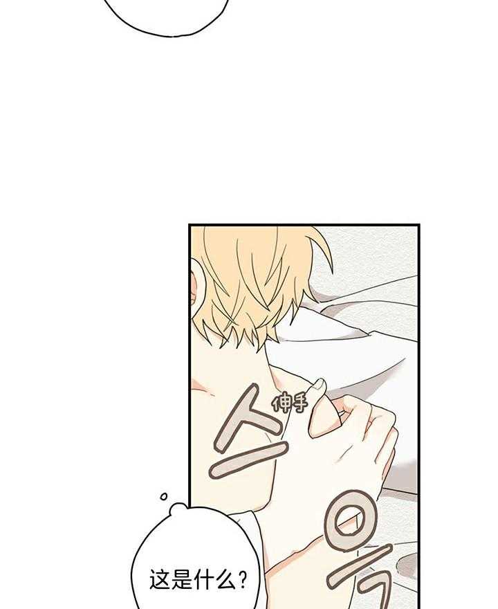 看见那条龙了吗，我的第8话图