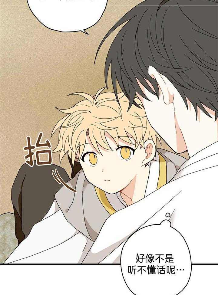 看见那条龙了吗，我的第8话图