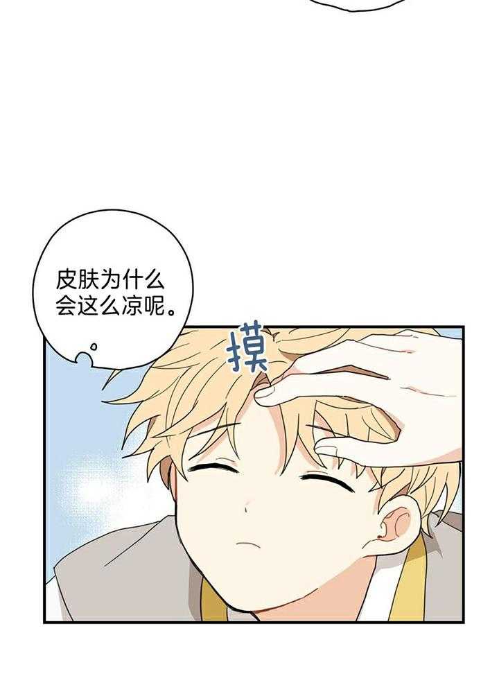 看见那条龙了吗，我的第8话图