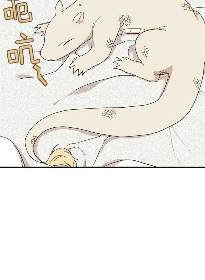 看见那条龙了吗，我的第9话图