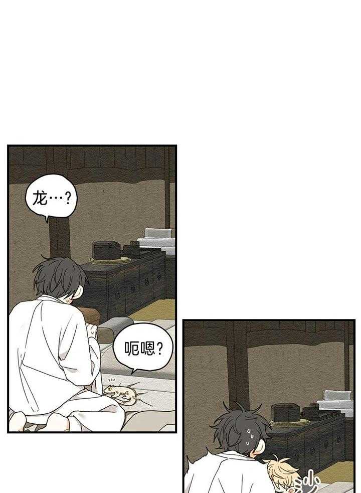 看见那条龙了吗，我的第9话图