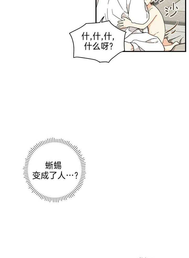 看见那条龙了吗，我的第9话图