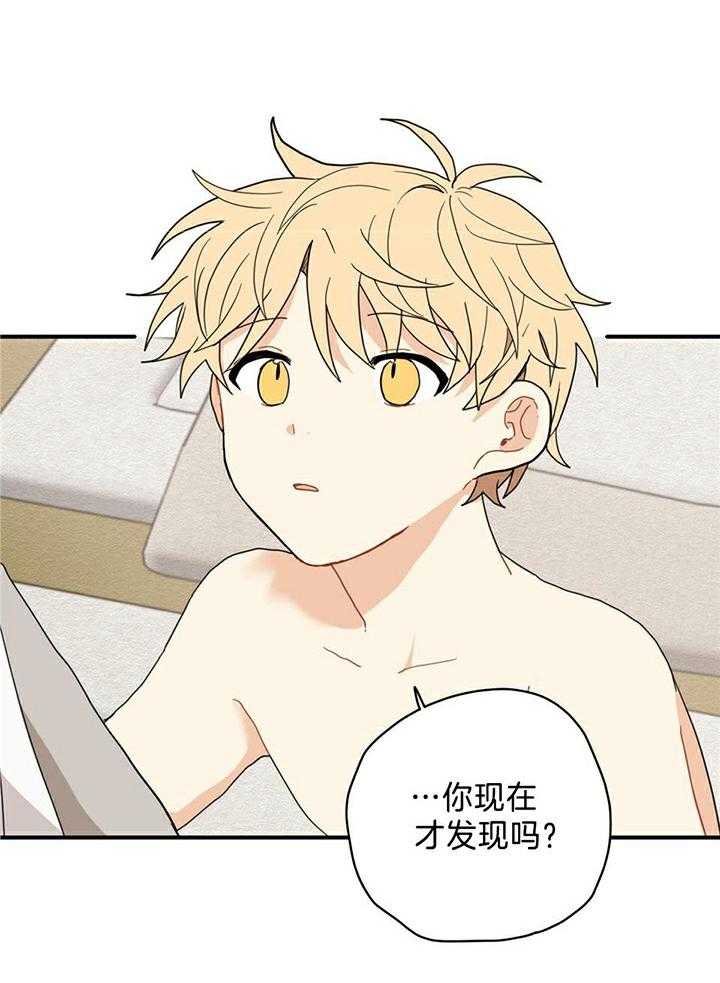 看见那条龙了吗，我的第9话图