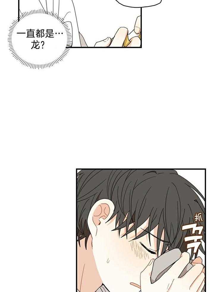 看见那条龙了吗，我的第9话图