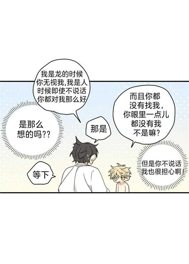 看见那条龙了吗，我的第9话图