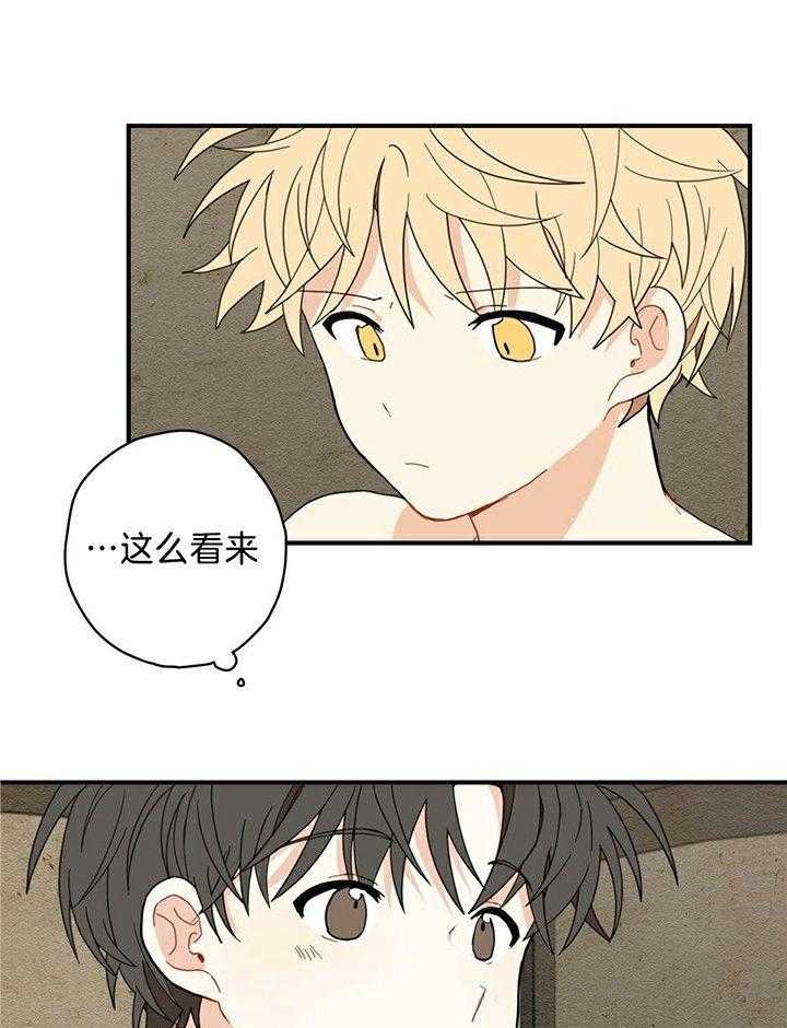 看见那条龙了吗，我的第9话图