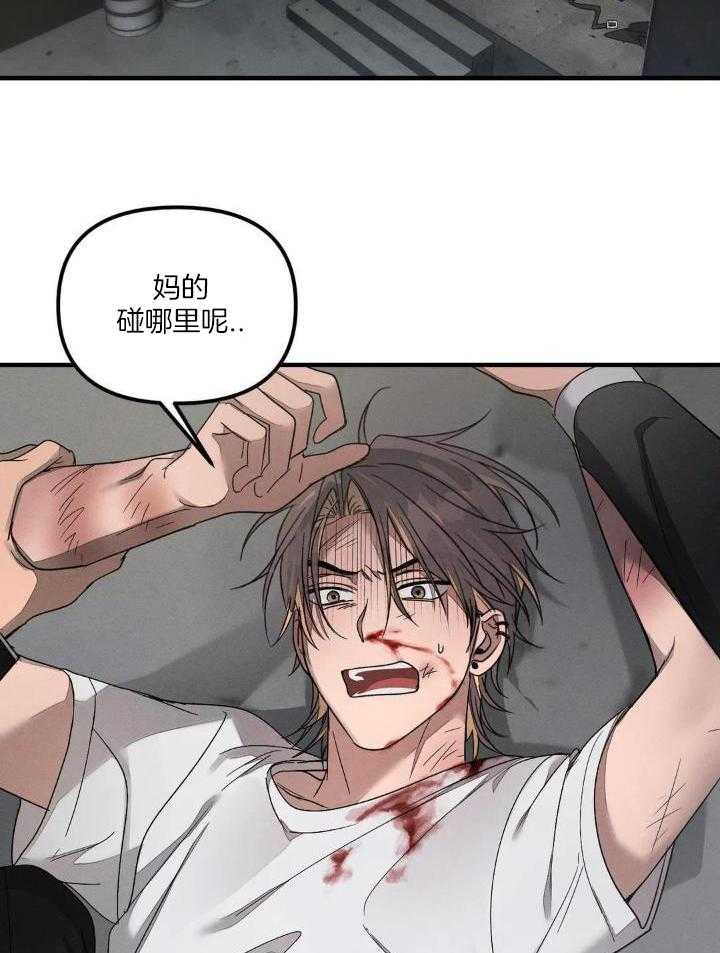 狂攻公寓训犬第2话图