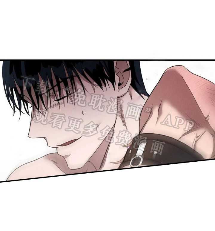 狂攻公寓训犬第7话图