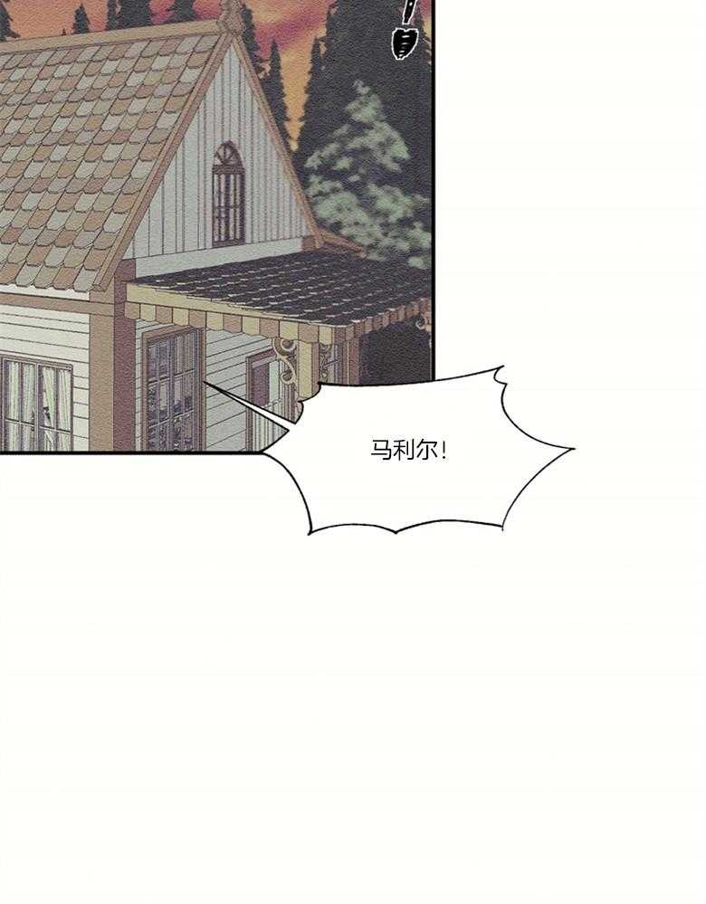 科佩利亚的冠冕第52话图