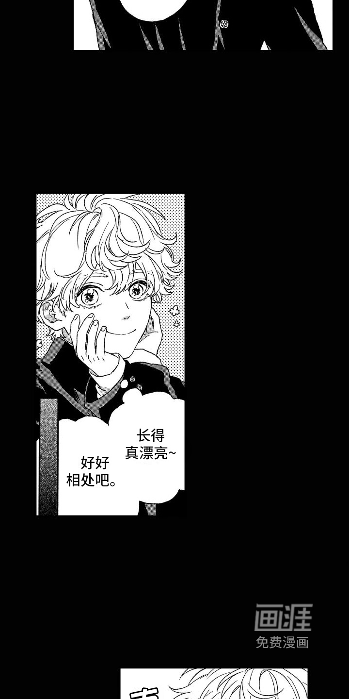 孔加尔坦的情歌第25话图