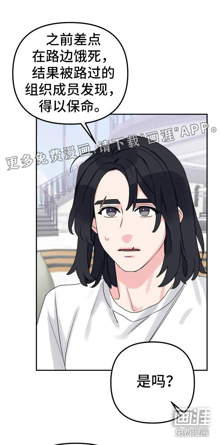 狂攻公寓间谍第4话图