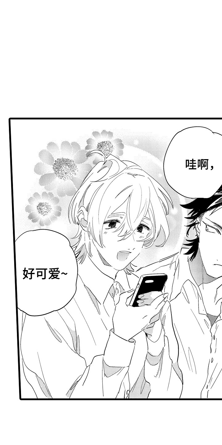 可爱最无敌 第1话 第3页