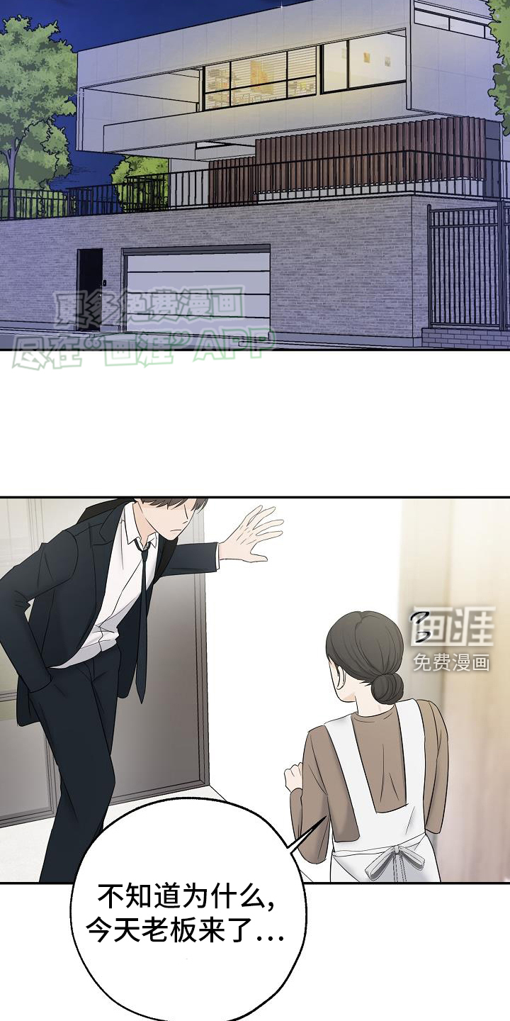 刻意接近第37话图