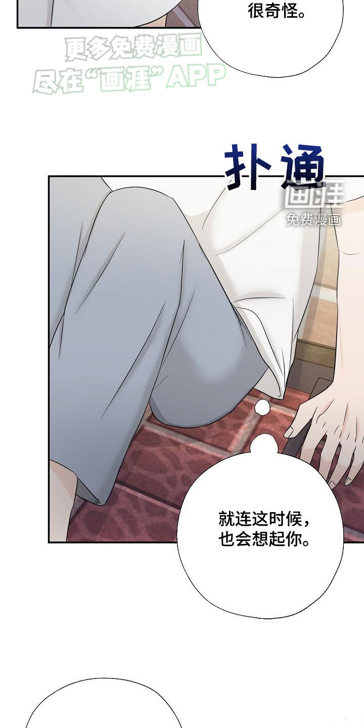 刻意接近第42话图