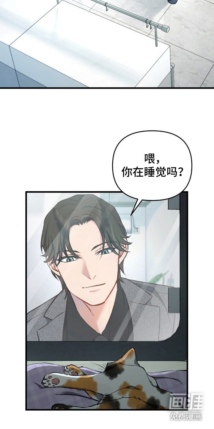 快穿救赎第17话图
