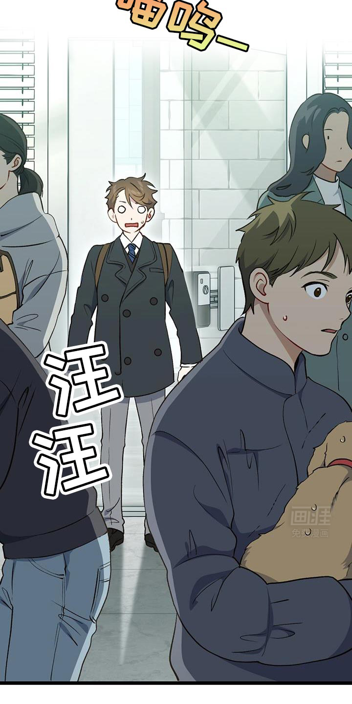 快穿救赎第37话图