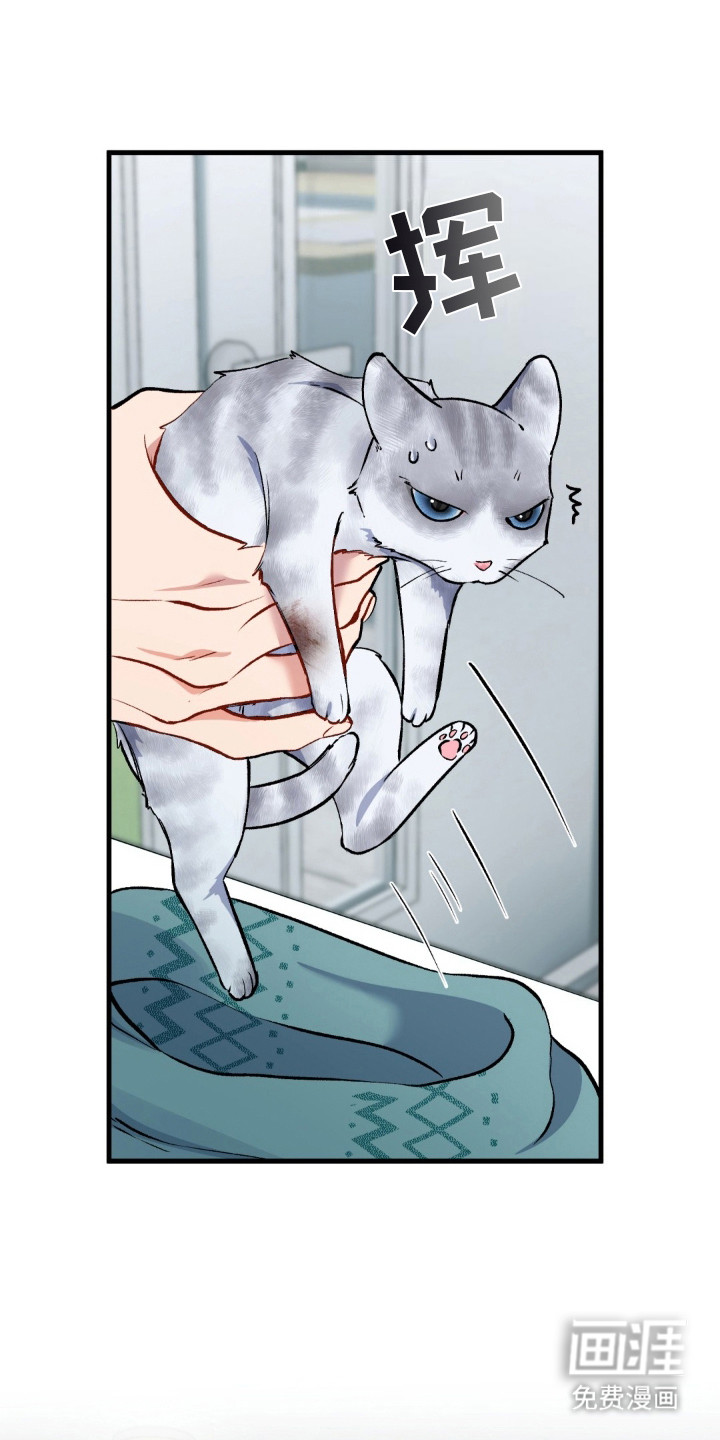 快穿救赎第9话图