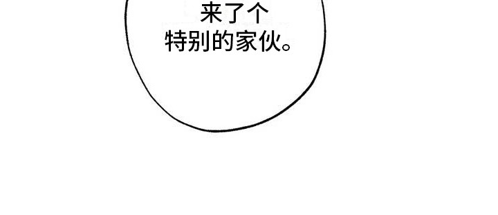 狂攻公寓第42话图