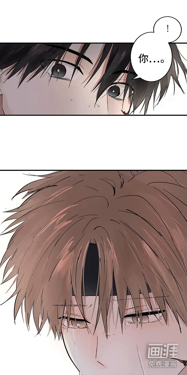 开启夜晚的月亮第9话图