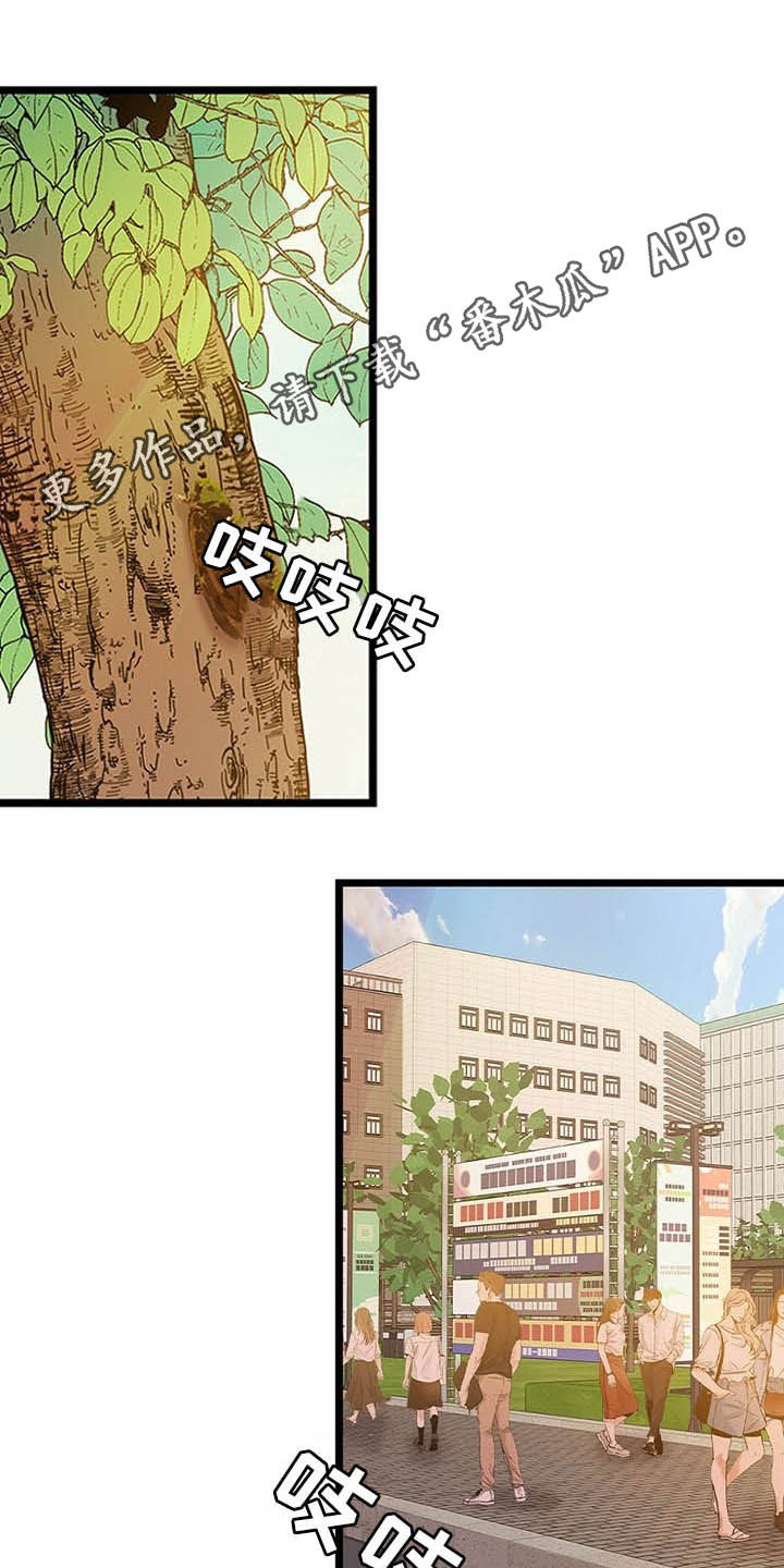 可爱铃铛第39话图