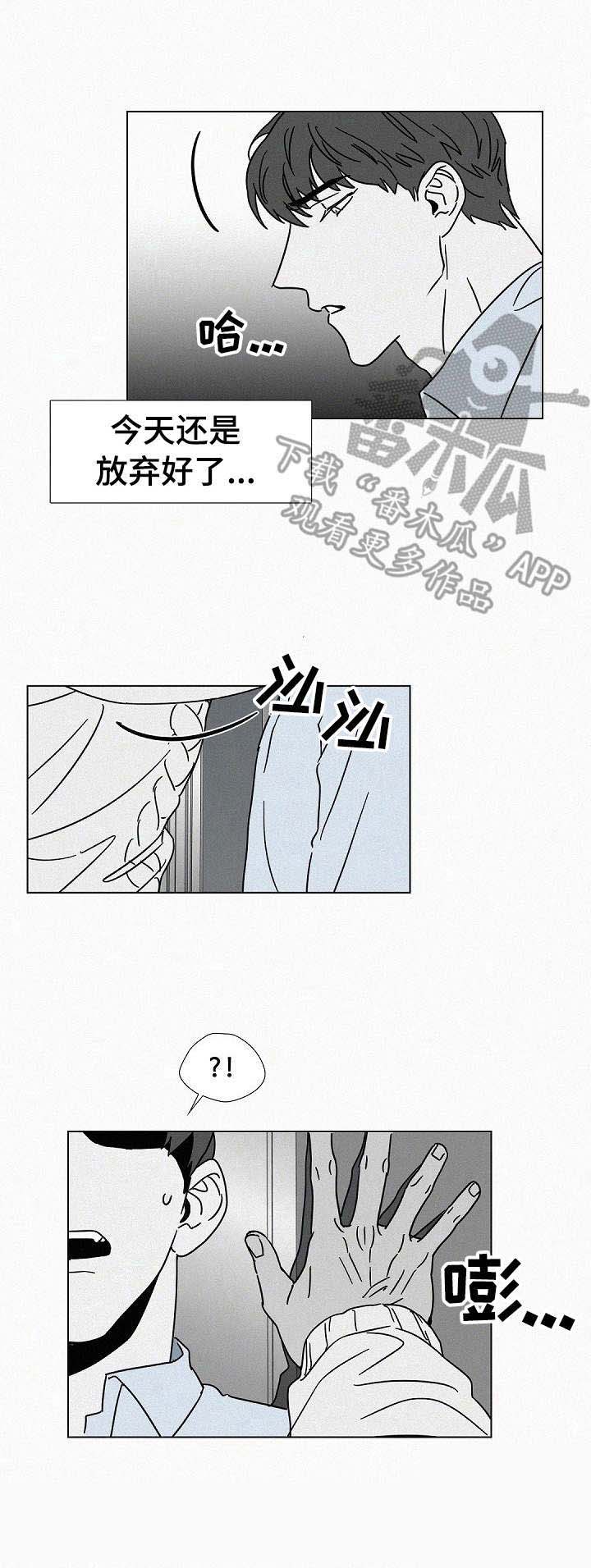 狂野美丽第20话图