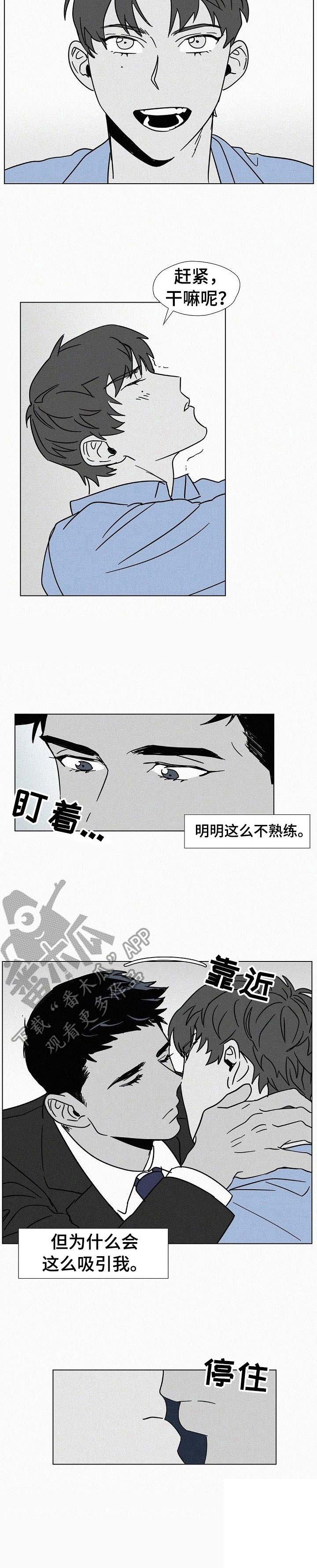 狂野美丽第9话图