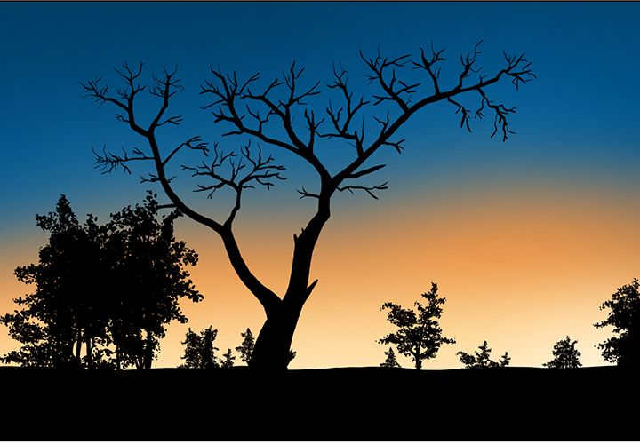 旷野之息第1话图