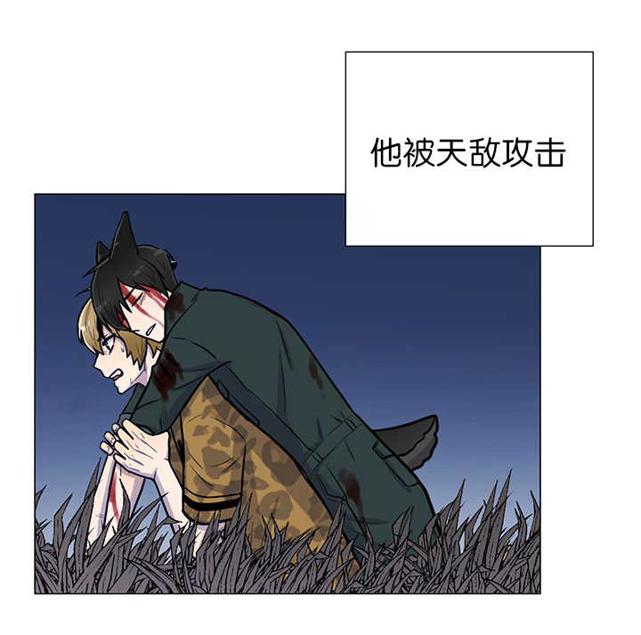 旷野之息第10话图