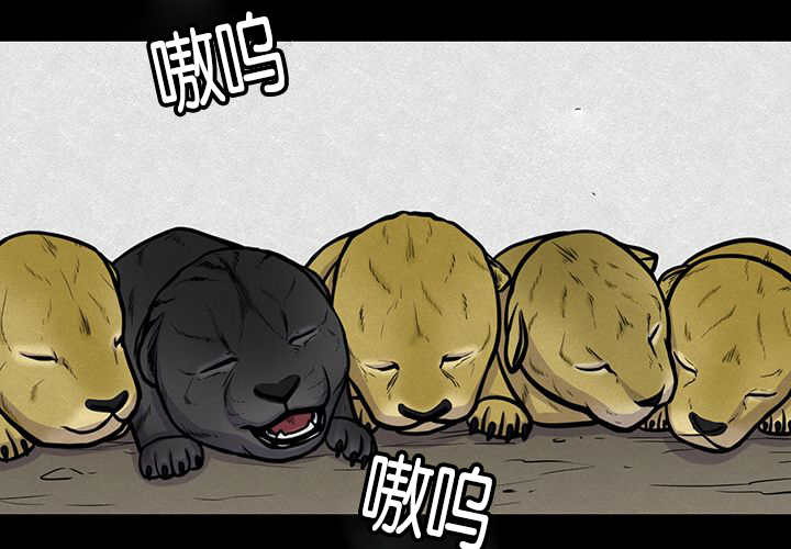 旷野之息第21话图