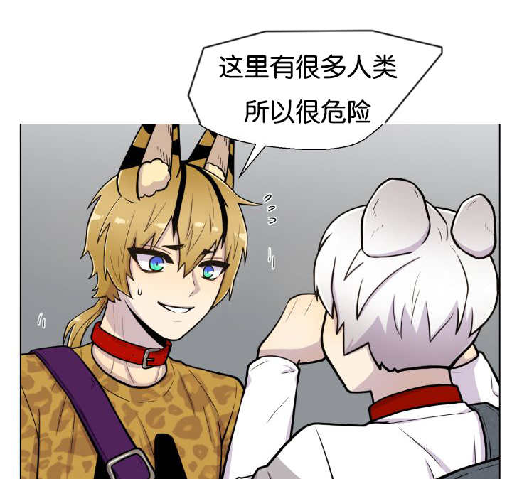 旷野之息第46话图