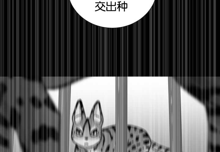 旷野之息第49话图