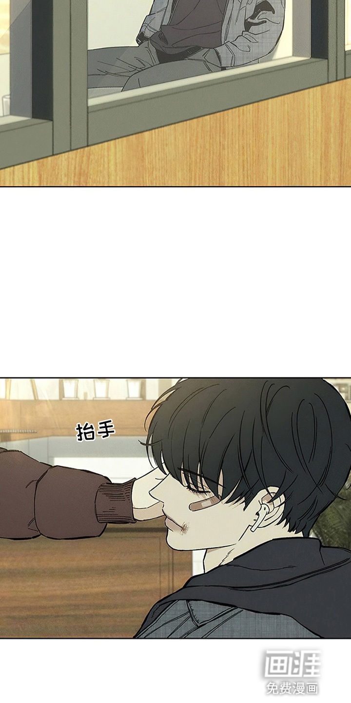 枯萎的花伤心的泪第24话图