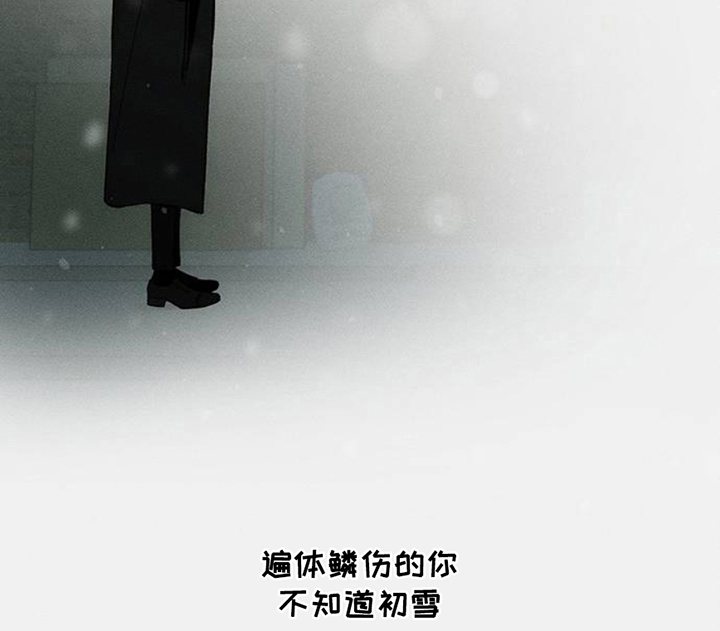 枯萎的花伤心的泪第44话图