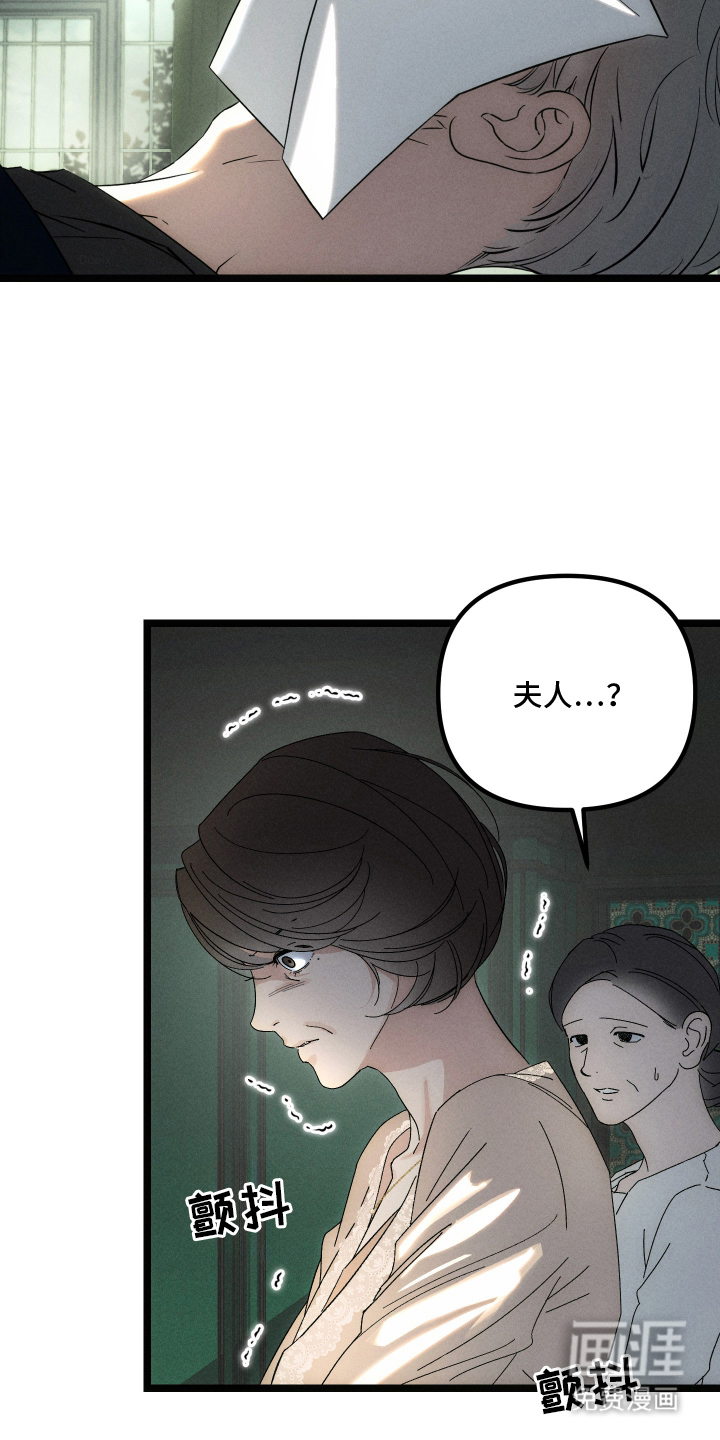 窥秘者漫画-图3