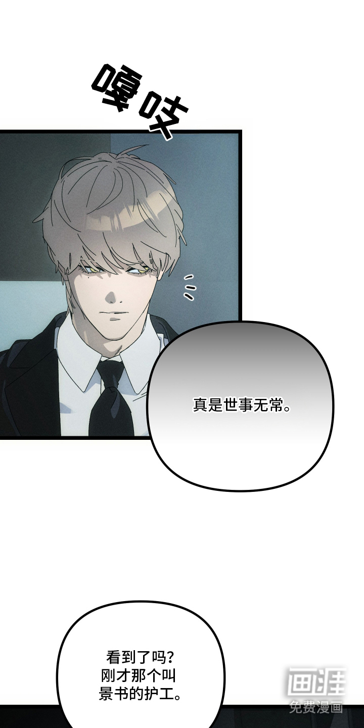 窥秘者漫画-图20