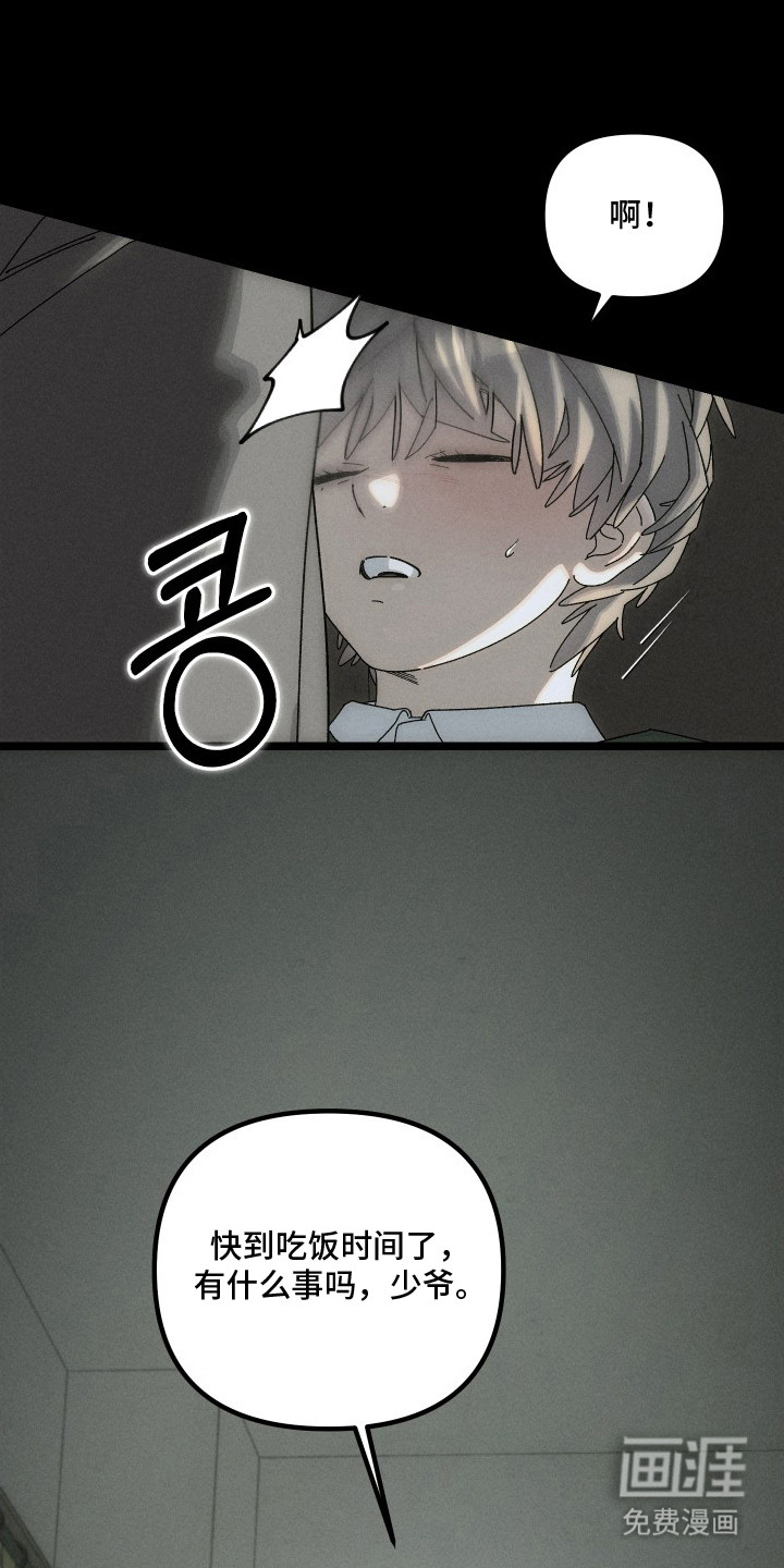 窥秘者漫画-图4