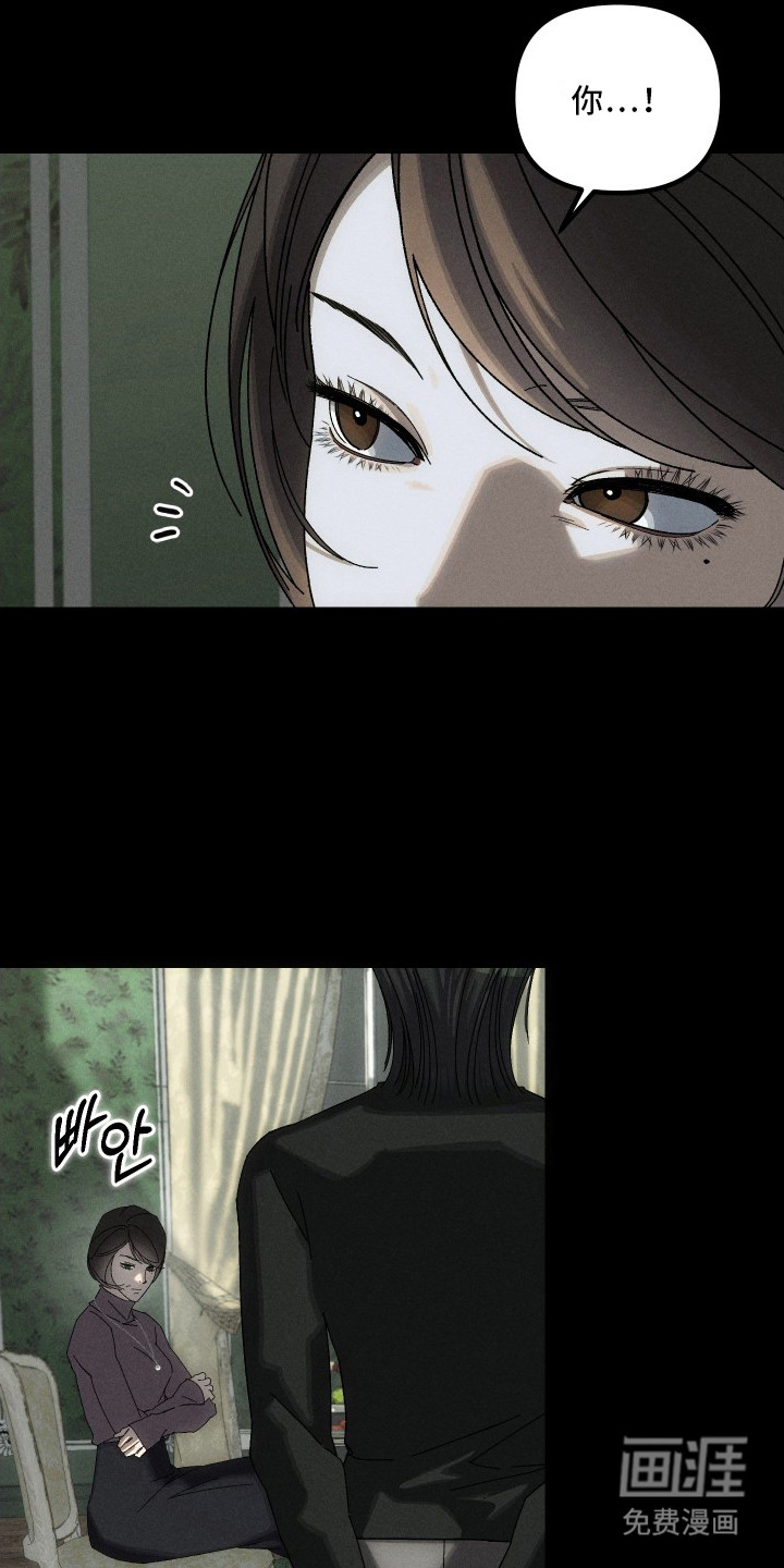 窥秘者漫画-图17