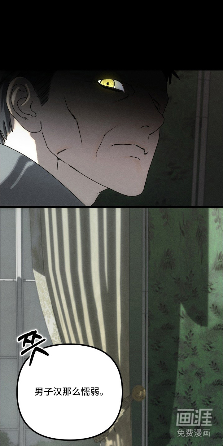 窥秘者漫画-图0