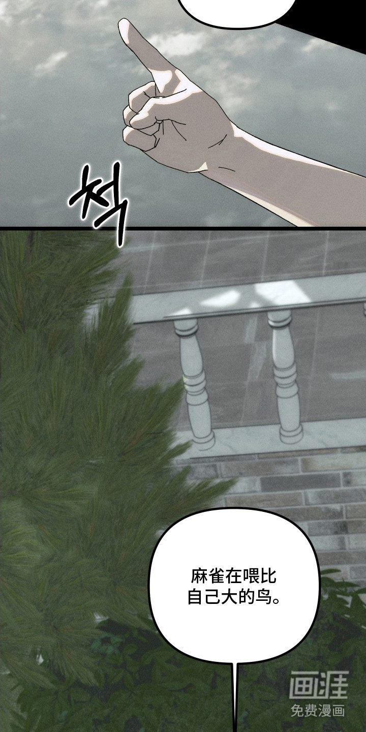 窥秘者漫画-图10