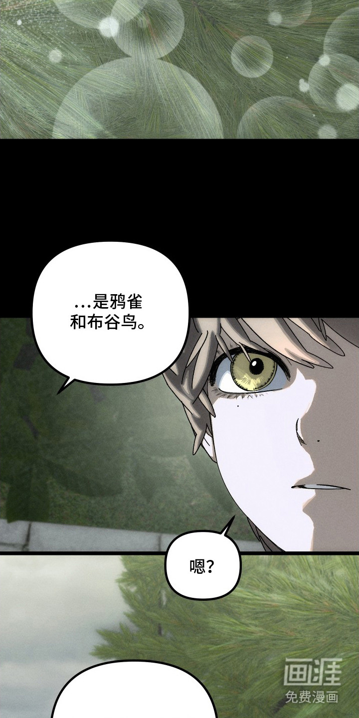 窥秘者漫画-图12