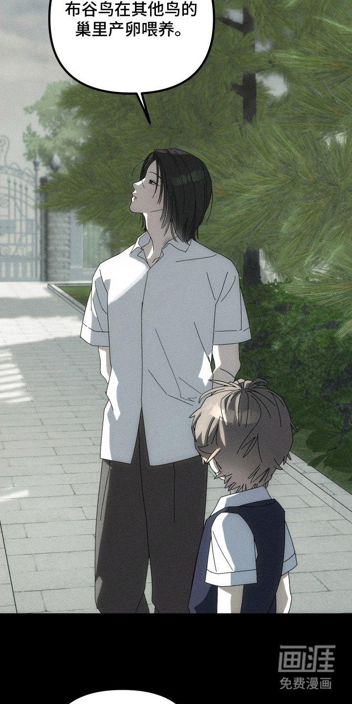 窥秘者漫画-图13