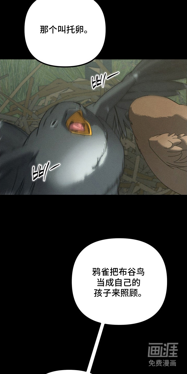 窥秘者漫画-图14