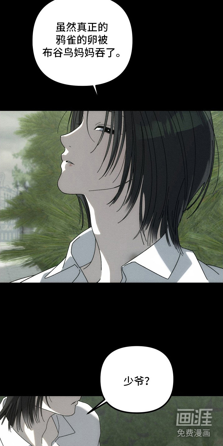 窥秘者漫画-图15