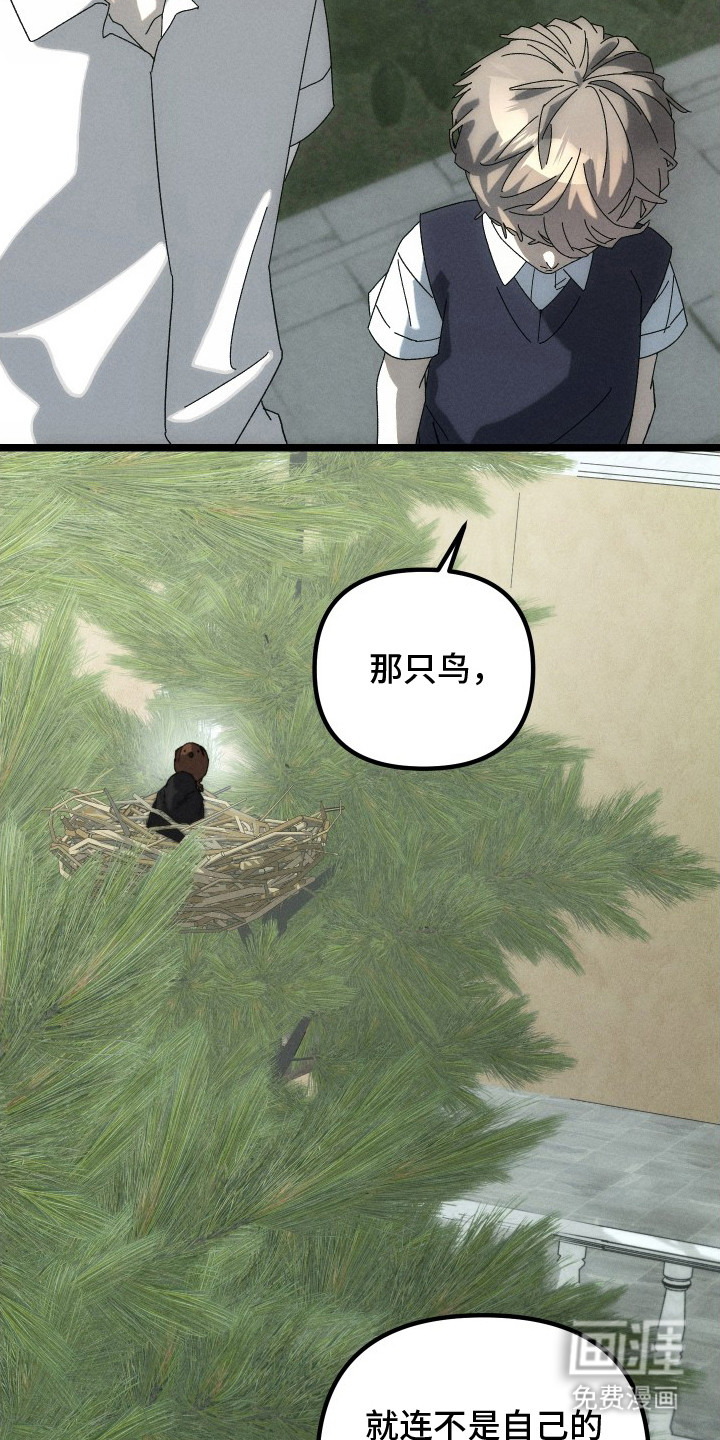 窥秘者漫画-图16