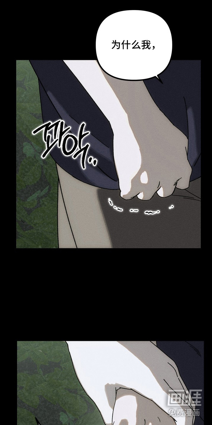 窥秘者漫画-图18