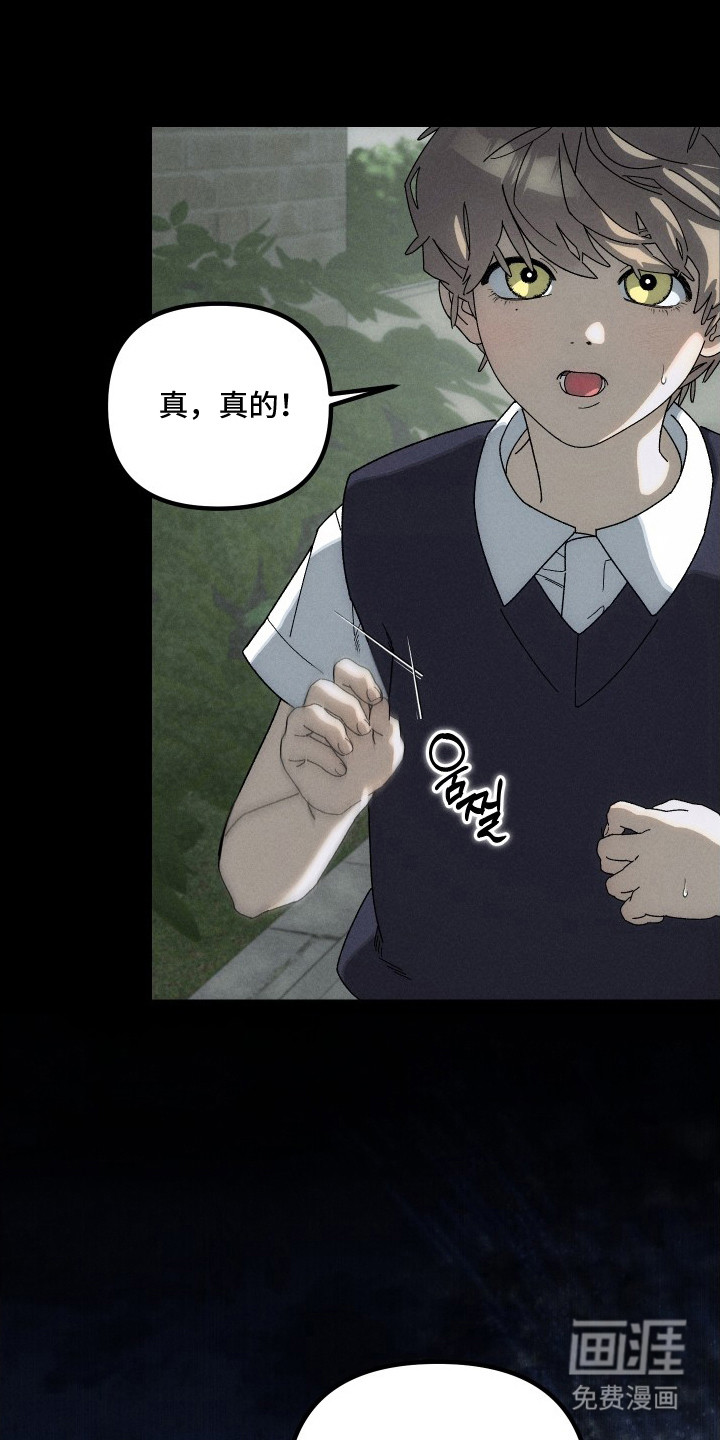 窥秘者漫画-图11