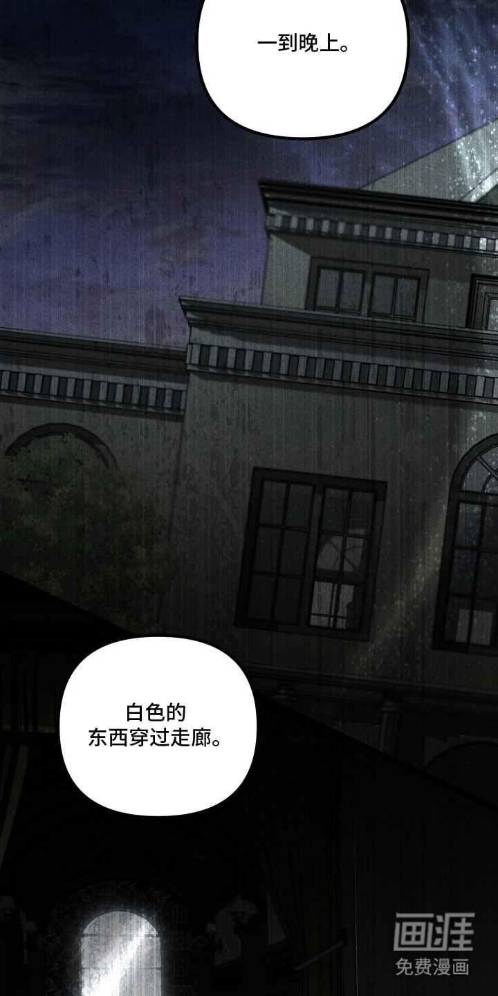 窥秘者漫画-图12